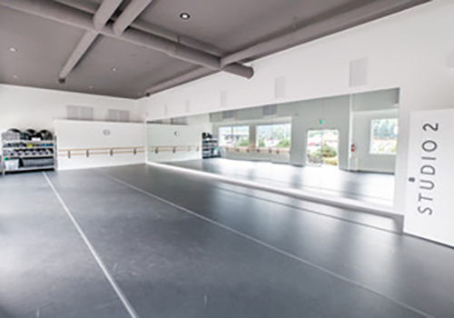 Harlequin Floors expands its home studio equipment range to help both  professional and amateur dancers to train safely, Professional Sprung &  Vinyl Dance Floors